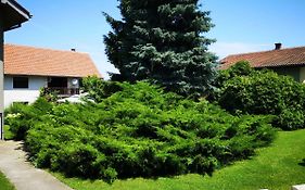 Apartment Dedine Golubac